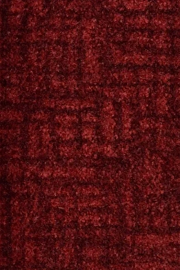 Грязезащитный коврик Amazonia 40 0.9x1.2 красный