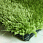 Ковер длинноворсовый Шегги JA green