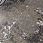 Ковер ATLANTIS D996 CREAM-GRAY Ковер ATLANTIS D996 CREAM-GRAY